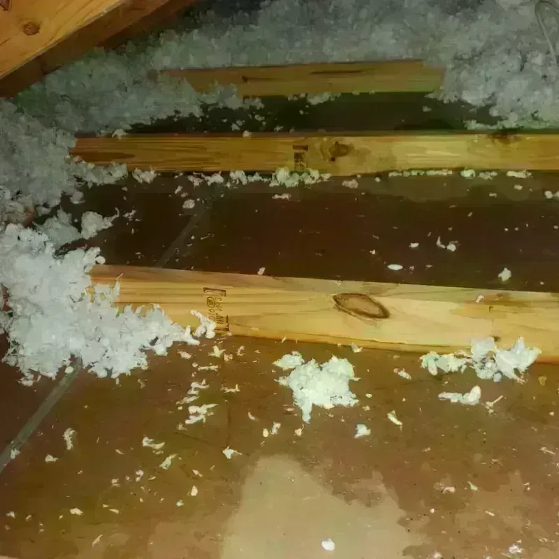 Attic Water Damage in Middleport, NY